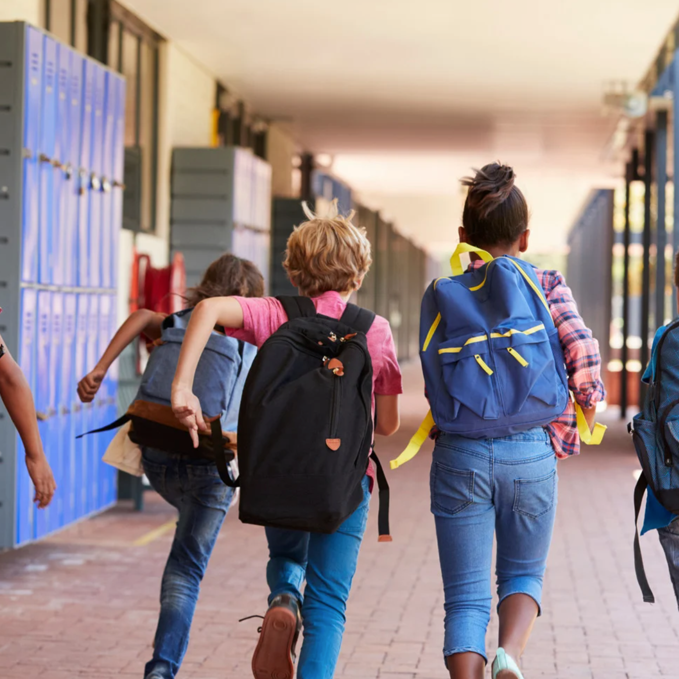 Progetti e azioni per la scuola trentina