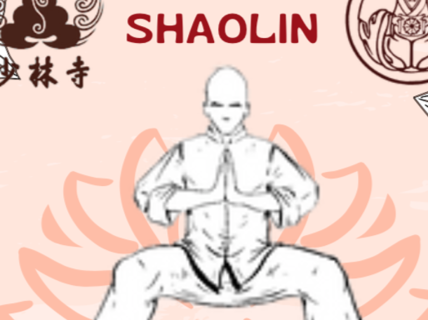 Kung fu shaolin